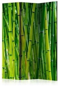 Paravento  Bamboo Forest [Room Dividers] Acustico 135x172