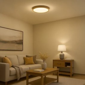 Plafoniera LED ORINOKO LED/36W/230V Ø 48 cm beige