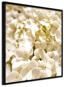 Poster  Soothing Flowers  Cornice Quadri Cornice nera, Larghezza x Altezza Home decor 20x20