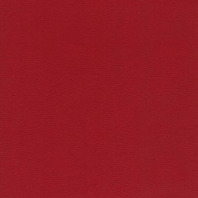 Florida cuscino disponibile in diversi colori realizzato in ecopelle resistente impermeabile T04 rosso
