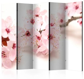 Paravento design Fiore di ciliegio II - pianta rosa su sfondo bianco in tema orientale