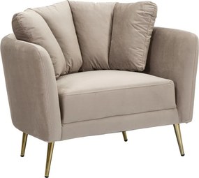 Poltrona grigio tortora con poggioli/con gambe con rivestimento in velluto Kiev – Mauro Ferretti