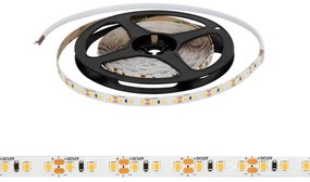 Striscia LED 2835/120 12V 12W/m IP20 5m Colore Bianco Freddo 6.000K