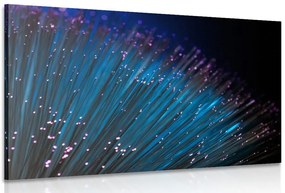 Quadro su tela – Fibra ottica
