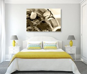 Quadro su tela – Rose in seppia
