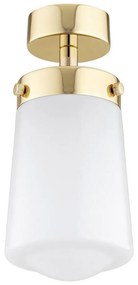 Argon 8005 - Surface-mounted lampadario PASADENA 1xE27/15W/230V oro/bianco