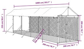 Cuccia cani da esterno tetto argento 2x10x2,5 m acciaio zincato