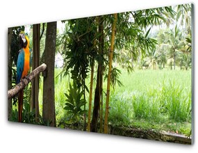 Pannello cucina paraschizzi Natura dell'albero del pappagallo 100x50 cm