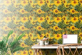 Carta da parati – Girasoli in natura selvaggia