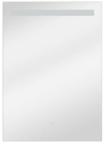 Specchio con illuminazione integrata bagno rettangolare Essential SENSEA L 50 x H 70 x P 3 cm grigio / argento