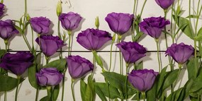 Stampa su tela – Splendidi fiori viola