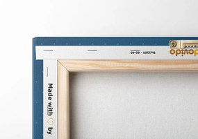Quadro su tela – Volo con aeroplanino