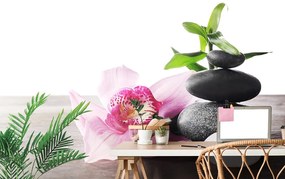 Carta da parati – Natura morta Zen