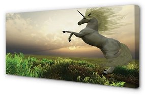 Foto quadro su tela Campo unicorno 100x50 cm