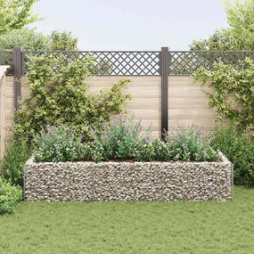 Gabbione Letto Rialzato Da Giardino İn Acciaio 270x90x50 Cm /