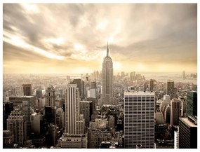 Fotomurale  New York: Manhattan all'alba  Colore Grigio, Dimensioni e Misure 350x270