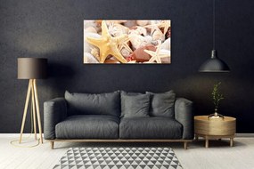 Quadro vetro Conchiglie di stelle marine sulla spiaggia 100x50 cm