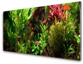 Quadro su vetro acrilico Pianta, fiori, natura 100x50 cm