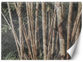 Carta Da Parati, Foresta di bambù
