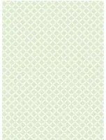 Coordonne Carta da parati Corset - Mint