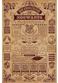 Harry Potter  Poster TA6062  Harry Potter