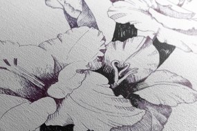 Quadro su tela – Illustrazione di gladioli in fiore