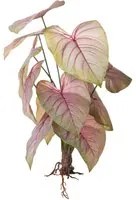 Set 2 Piante Artificiali Caladium con 12 Foglie 50 cm