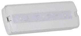 Lampada D’emergenza 150 lm IP43 - S.E./S.A Colore Bianco Freddo 6.000-6.500K
