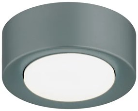 Argon 8917 - Plafoniera ELORA 1xGX53/7W/230V Ø 11 cm grigia