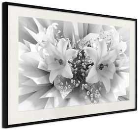 Poster  Crystal Lillies  Cornice Quadri Cornice nera con pass-partout, Larghezza x Altezza Home decor 45x30