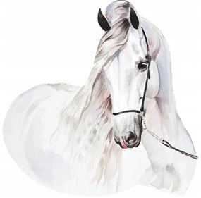 Adesivo da parete con motivo cavallo bianco 150 x 150 cm