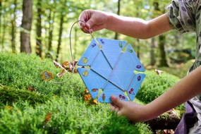 Walli, il ragno arraffone