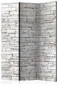 Paravento  White Spell [Room Dividers]  Colore Grigio, Dimensioni e Misure 135x172