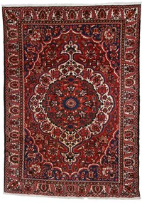 Bakhtiar Tappeto 250 x 340 (Iran) Annodato A Mano