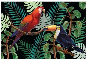 Carta da parati Ara toucan 104x70 cm