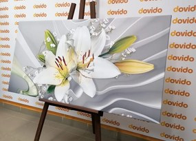 Quadro su tela – Giglio bianco su sfondo interessante