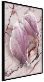 Poster  Magnolia on Marble Background  Cornice Quadri Cornice nera, Larghezza x Altezza Home decor 20x30