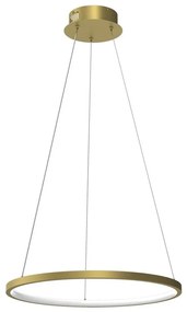 Lampadario LED a sospensione con filo HOOP LED/27W/230V diametro 50 cm 4000K oro