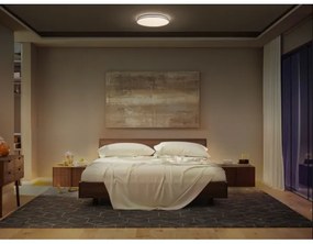 Ledvance - Plafoniera LED ORBIS DUBLIN LED/24W/230V diametro 39 cm