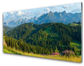 Quadro in vetro acrilico Natura della foresta di montagna 100x50 cm