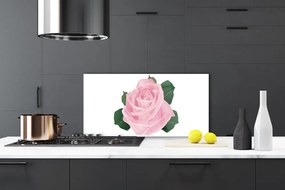 Rivestimento parete cucina Natura della pianta del fiore della rosa 100x50 cm