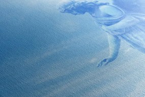 Stampa su tela – Magnifico angelo nel cielo