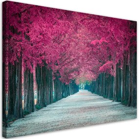 Quadro su tela, Avenue of Pink Trees  Dimensioni 120x80