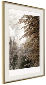 Poster  Pond in the Park  Cornice Quadri Cornice d'oro con passe-partout, Larghezza x Altezza Home decor 20x30