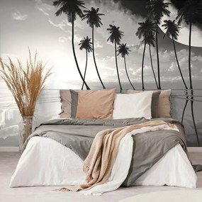 Carta da parati – Palme tropicali in bianco e nero