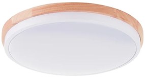 Brilliant - Plafoniera LED dimmerabile BAARLO LED/24W/230V diametro 35 cm bianco