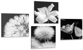 Set di quadri – Bellezza dei fiori in bianco e nero con farfalla