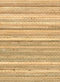 CMO Paris Carta da parati Papyrus - Naturel