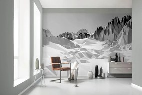 Fotomurale Icefields, multicolore 368 x 254.0 cm