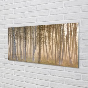 Pannello paraschizzi Alberi della foresta di alba 100x50 cm